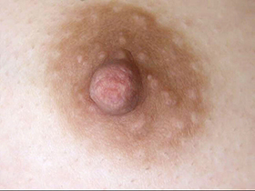 300人の乳首　4　サンプル画像14